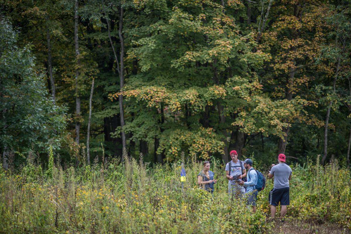 Environmental studies students out in a field doing lab work