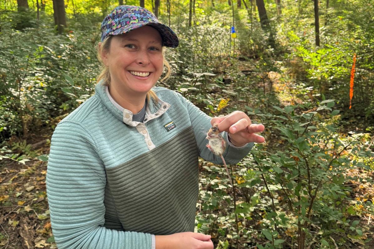 Faculty member with a white-footed mouse she tagged while out in the woods with students.