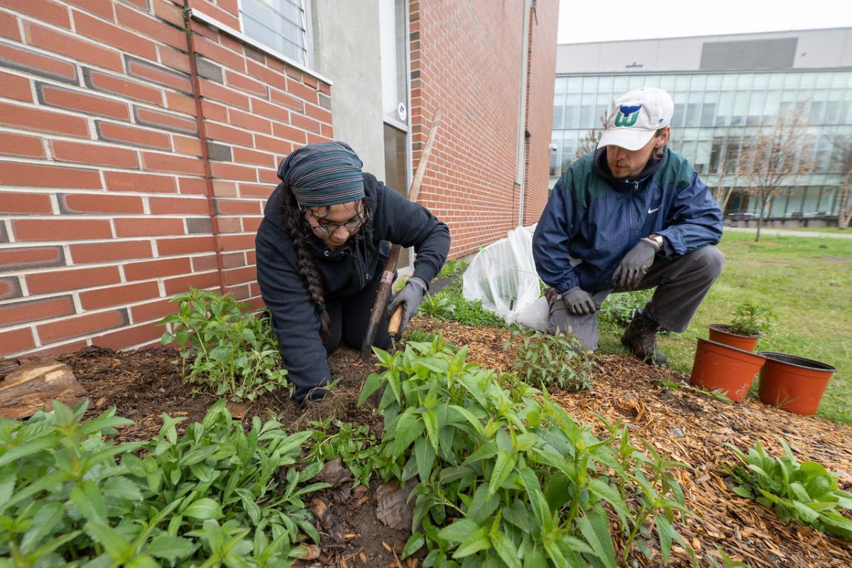Two students planting vegetables outside the greenhouse on campus.