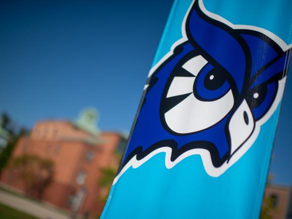 University flag with mascot logo.