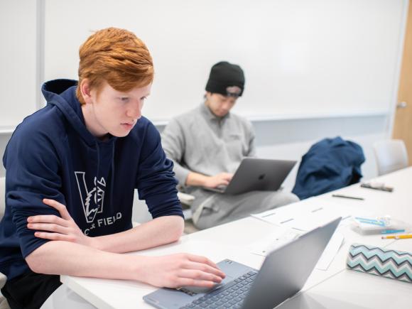 Economics student wearing a blue WSU sweatshirt, seated at a computer in the lab, focused on the screen.