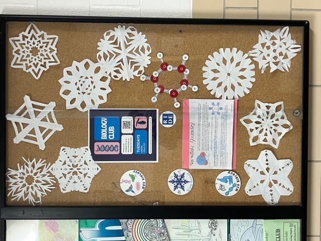 secondary stem ed ride