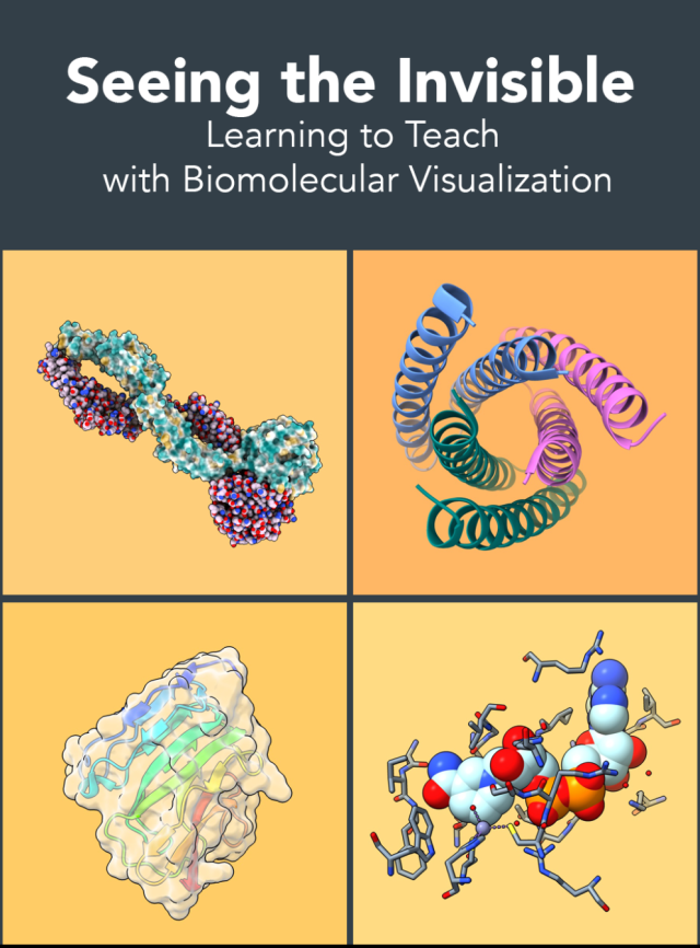 Book cover image for Seeing the Invisible Learning to Teach with Biomolecular Visualization with colorful illustrations of scientific materials and principles