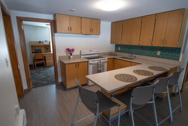 Interior of a kitchen in the Apartment Complex.