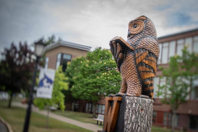 Wooden owl carving outside Bates & Wilson Halls.