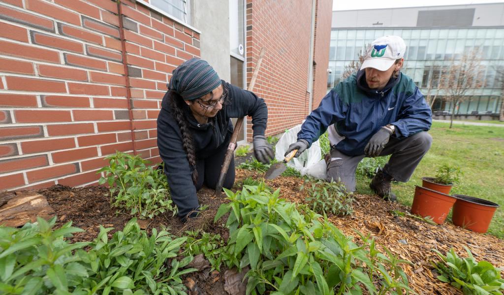 Two students planting together on Arbor Day.