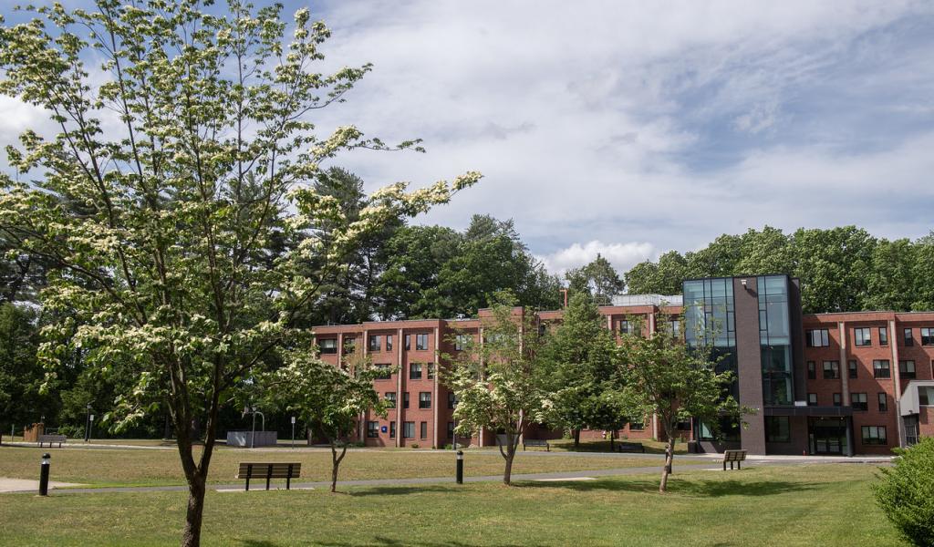 Davis Hall exterior in spring, surrounded by white flowering trees.